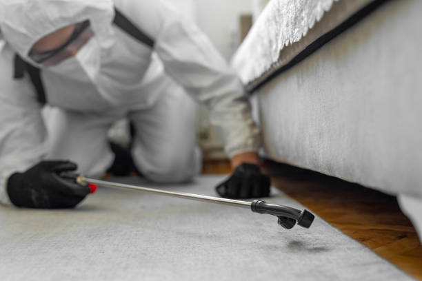 Professional Termite Control technician working in Rowlett, TX