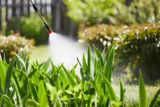 24/7 Emergency Termite Control experts in Rowlett, TX